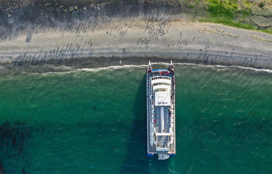 Navegación Canal Beagle – Pingüinera