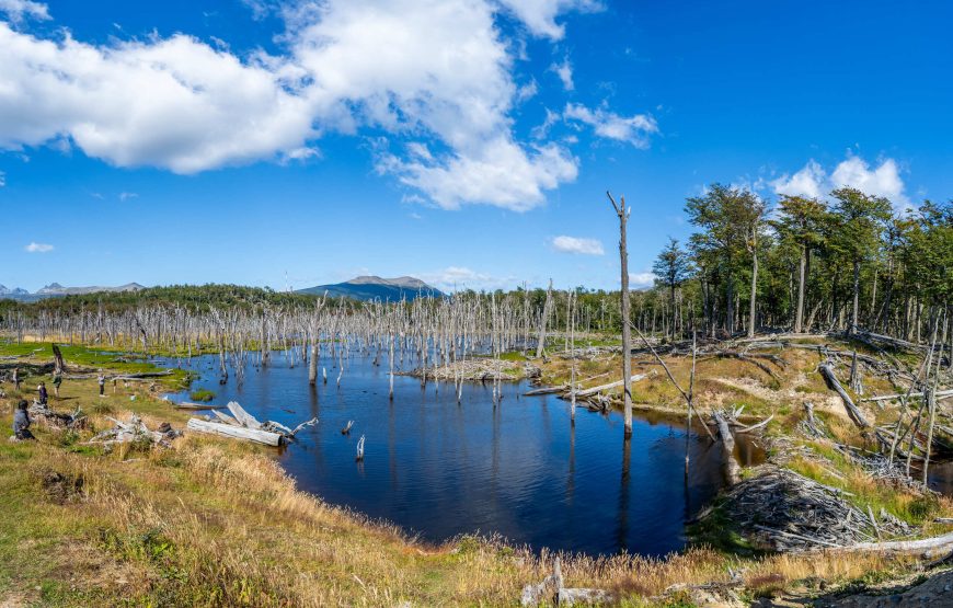 Lagos Fueguinos – Full Experience