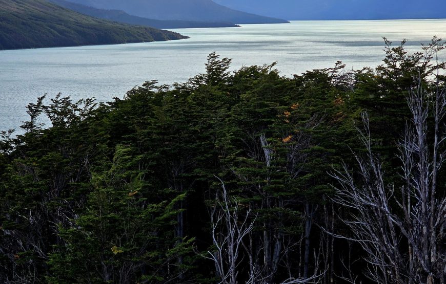 CALAFATE – Traslados Aeropuerto + Glaciar Perito Moreno