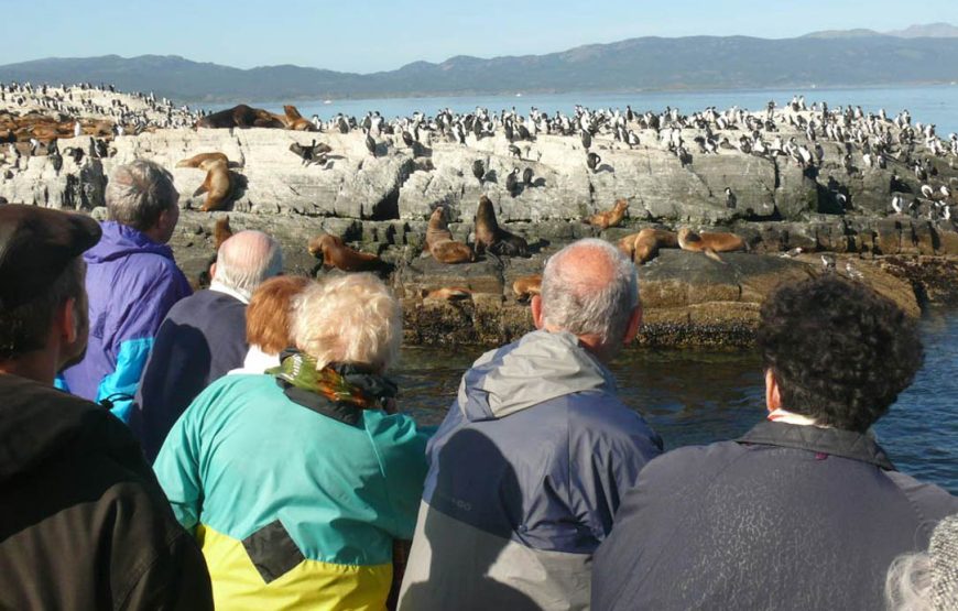 Navegación Canal Beagle – Pingüinera