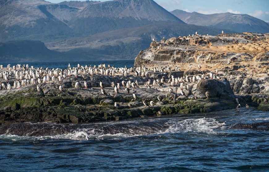 Navegación Canal Beagle – Lobos