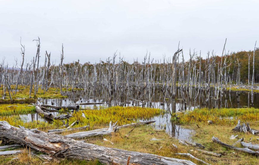 FIN DEL MUNDO SUPERIOR – Viví Ushuaia en 3 días