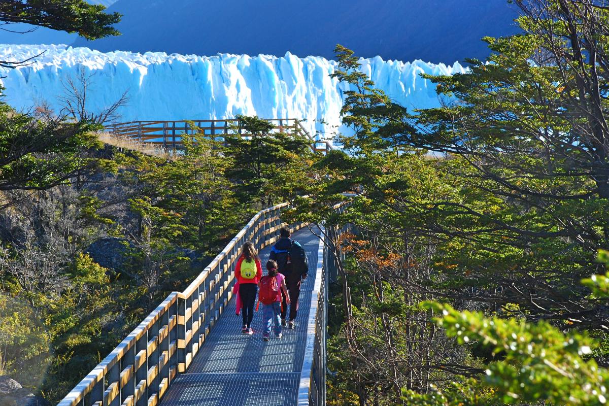 Full Day Moreno + Traslados Aeropuerto In/Out