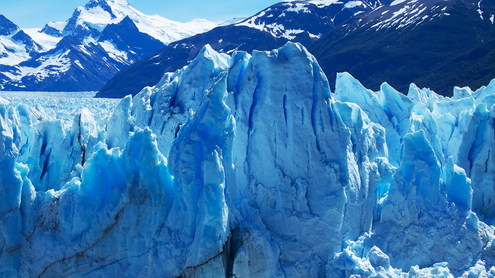 Full Day Moreno + Traslados Aeropuerto In/Out - Imagen 3