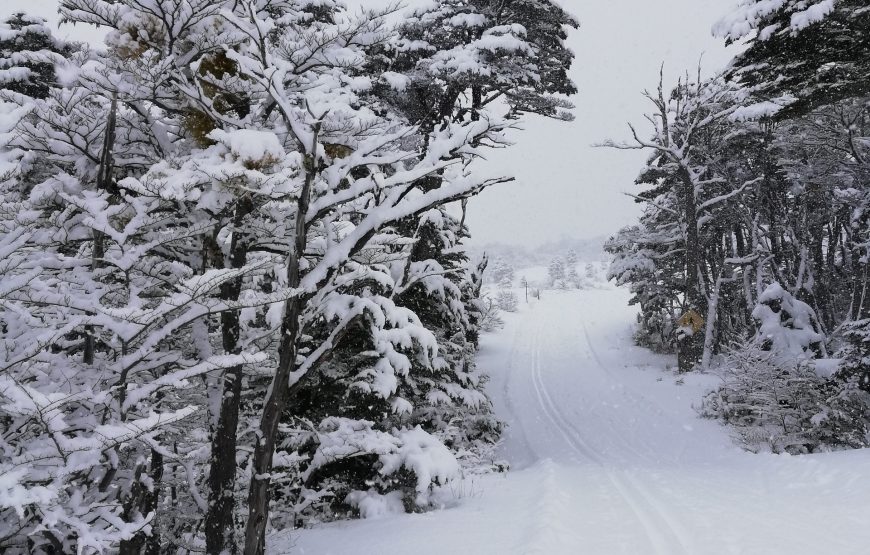 Paisajes y Delicias de Ushuaia Invernal